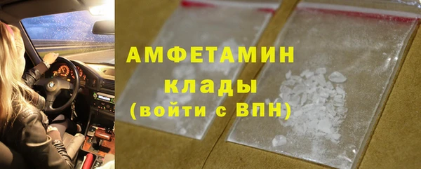 ГАЛЛЮЦИНОГЕННЫЕ ГРИБЫ Абаза